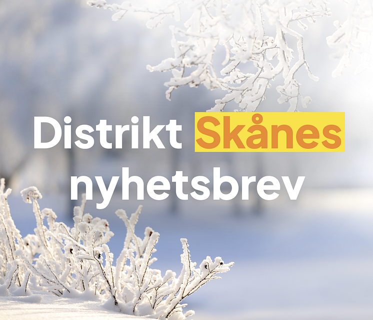 Banner till MyNewsDesk vinter.png