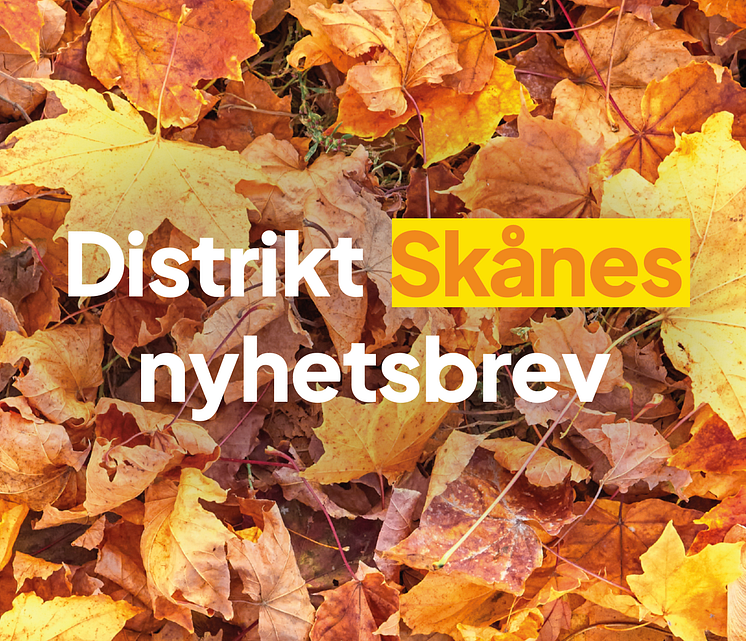 Nya banner HÖST till MyNewsDesk.png