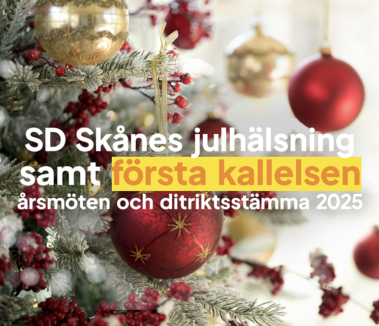 Banner till julhälsning och första kallelser kopiera.png