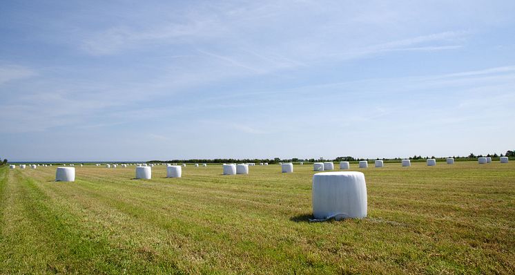 rundbalar-i-plast-iStock-471803918.jpg