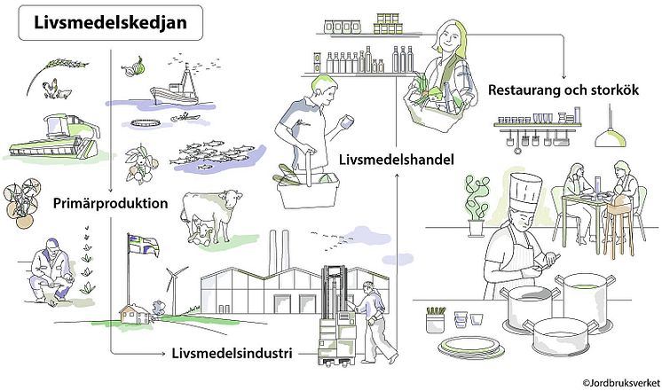 Livsmedelskedjan