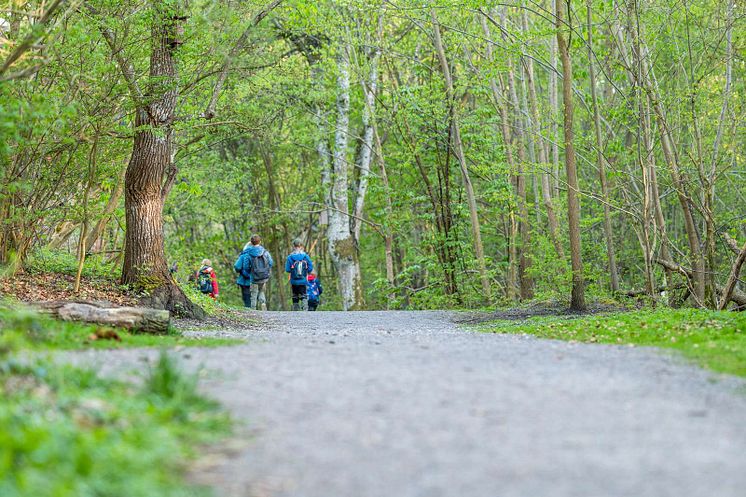 Pålsjö skog_Foto Lotta Wittinger.jpg