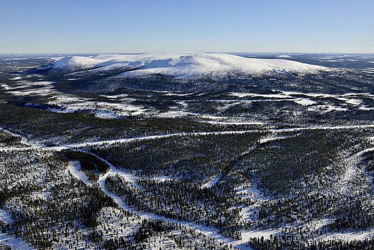 gallivare-naringsliv