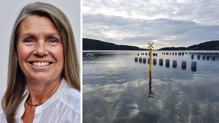 Montage: Ingela Skärström och en musselodling. 