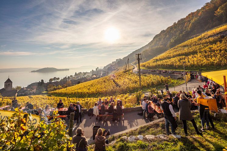 Weinsterrasse Twann