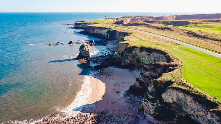 aerial view of cliffs overlooking the shoreline.png