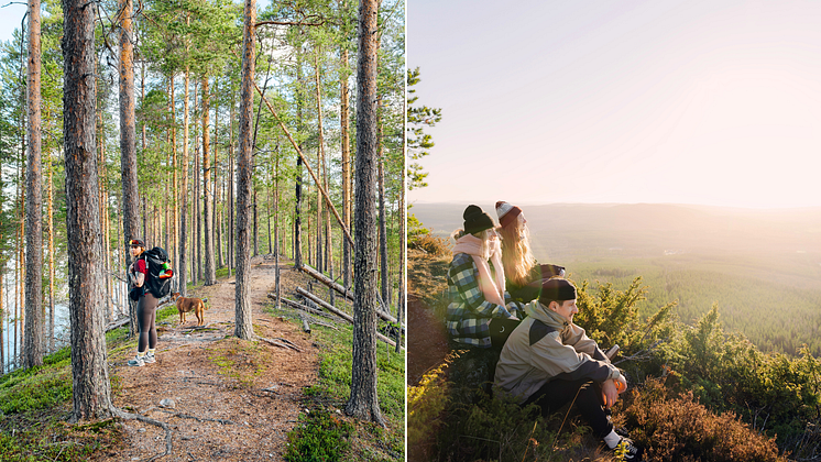 Vandring Umeåregionen