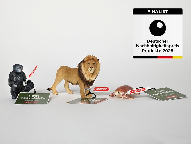 DNP_Finalist_Schleich.jpg