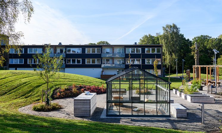 Tallga╠èrden_10_webb.jpg