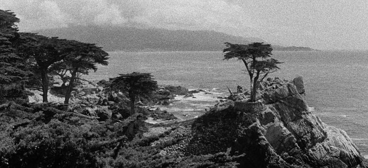 John-Skoog-Shadowland-2014-Courtesy-of-Filmform.jpeg