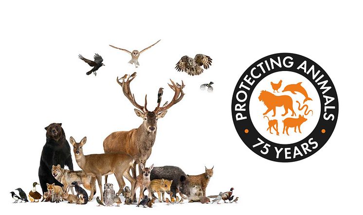 World Animal Protection 75 years.jpg