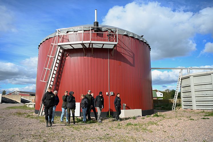 DSC_8978 röttank grupp.JPG