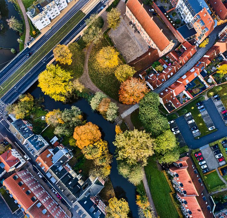 iStock-1780089098.jpg