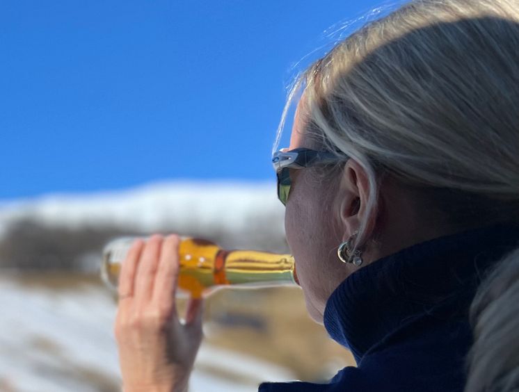 Blir ofte litt mye alkohol i alpinbakken1_Foto Gjensidige.jpg