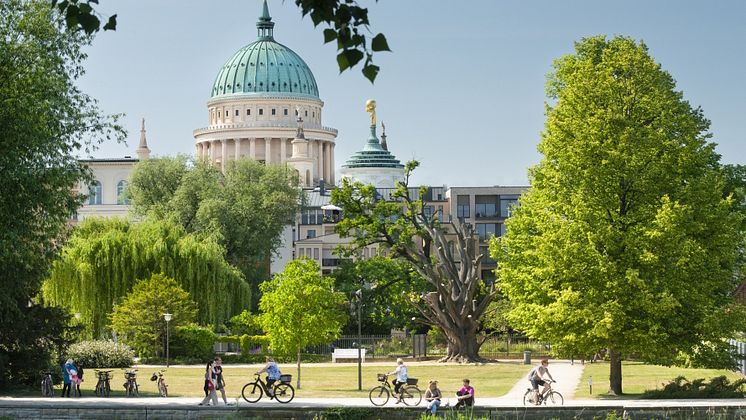 Potsdam Alter Markt (c) DZT Francesco Caravillano Cropped.jpg