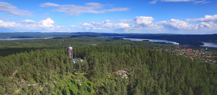 Vy över Björkberget i Siljansnäs
