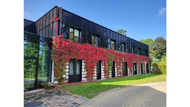 Design ohne Titel (1).png