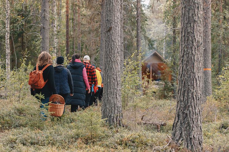 Grupp i skogen