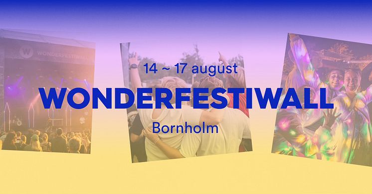 Wonderfestiwall.jpg