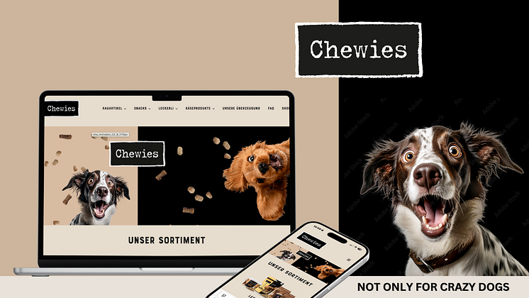 pm-pn-chewies-website-relaunch.png