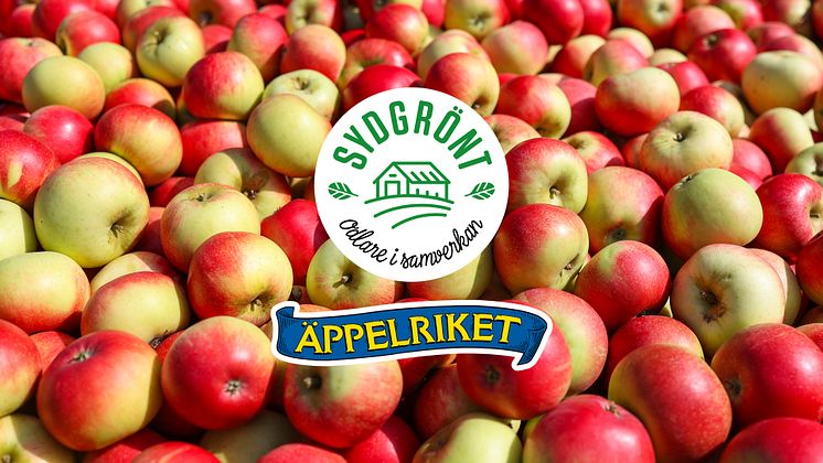 Huvudsponsorer-Äppelmarknaden.jpg