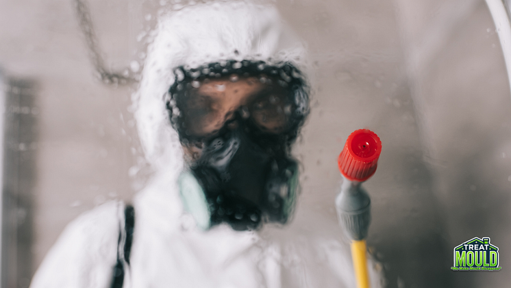 treat-mould-treating-mould-london.png