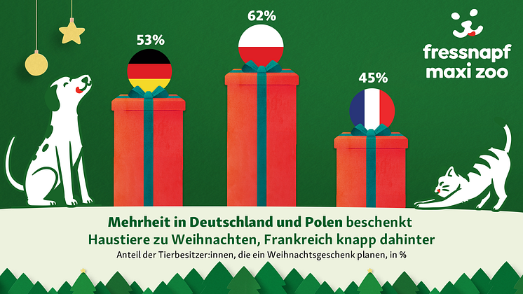 DE_Allgemein_Infografiken_FNMZ_Weihnachtsgeschenke_in_DE_PL_FR_JS_Geschenke Statistik 1920 x 1080 DE.png