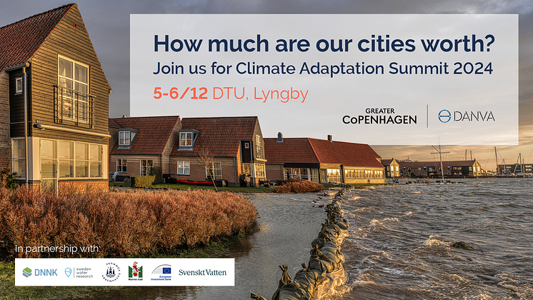 1_Climate Adaptation Summit 2024_1920x1080_original.png