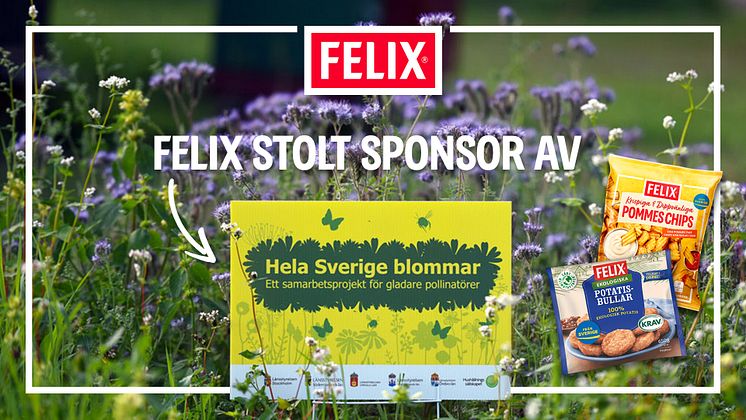 Felix_Sverige_blommar_pressmeddelande_2025.jpg