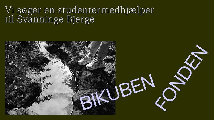 Studentermedhjælper til SB.jpg