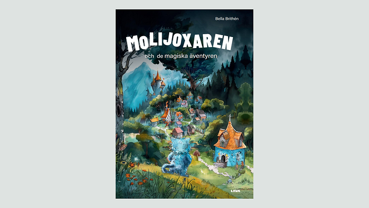 omslag (16).png