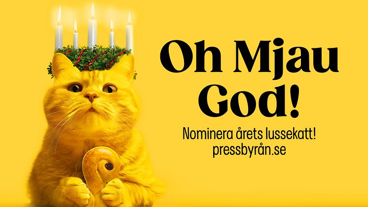 HK-Saffran-bild-till-pressmedelande (2).jpg