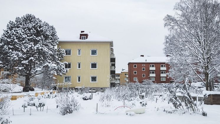 Boneo bostadsintresse.jpg