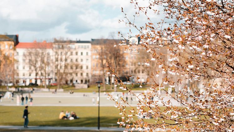Mäklarkollen Köparkollen april.jpg