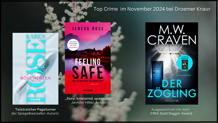 Krimi-NL_Nov.24_canva.png