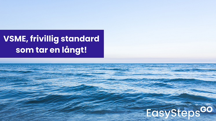 VSME tar er långt.png
