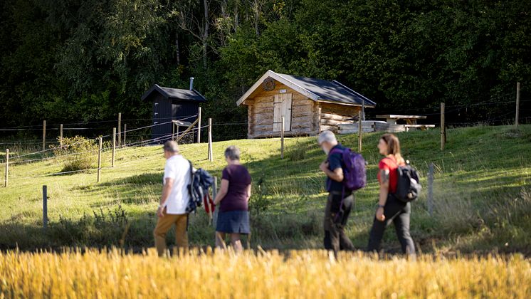 Fyra vandrare går förbi vindskydd på Billingeleden