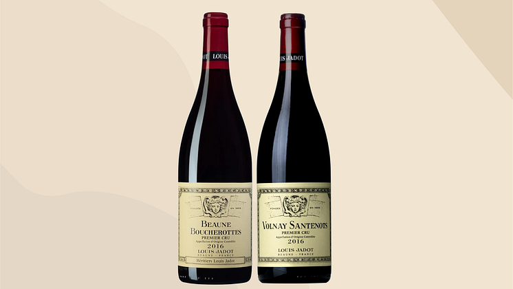 Jadot webblansering 21feb_2025.png