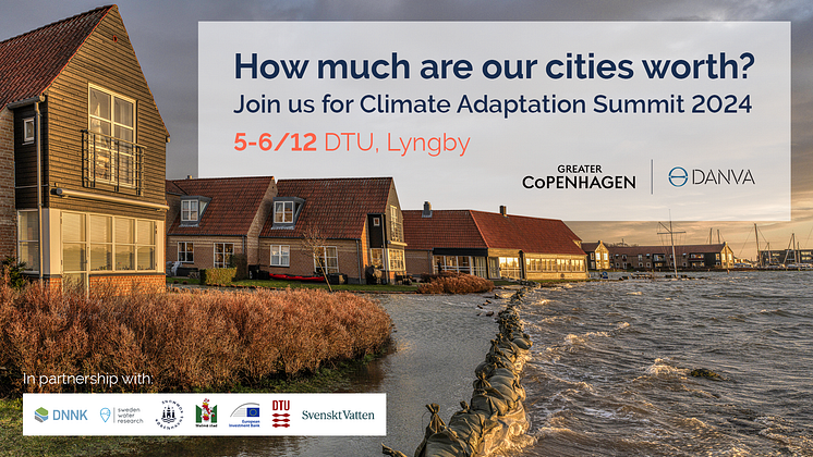 1_Climate Adaptation Summit 2024_1920x1080_original 2.png