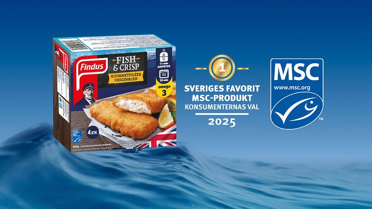 MSC PRM header.jpg