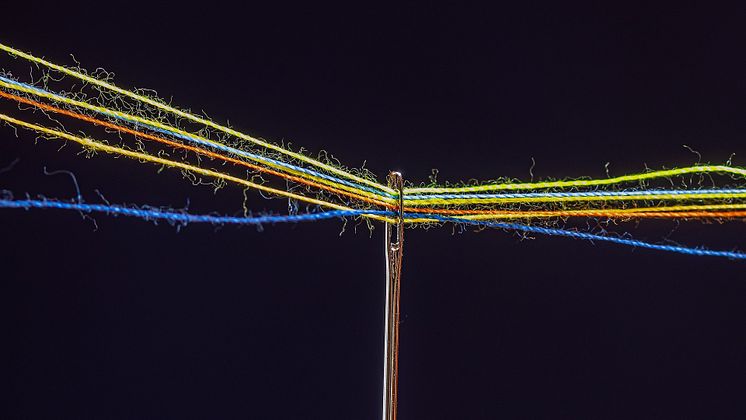 needle-4854847_1920.jpg
