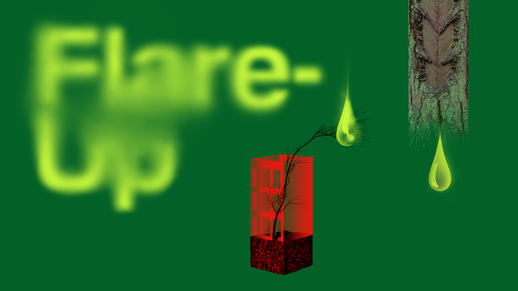 flare-up-Goldin-Senneby.png