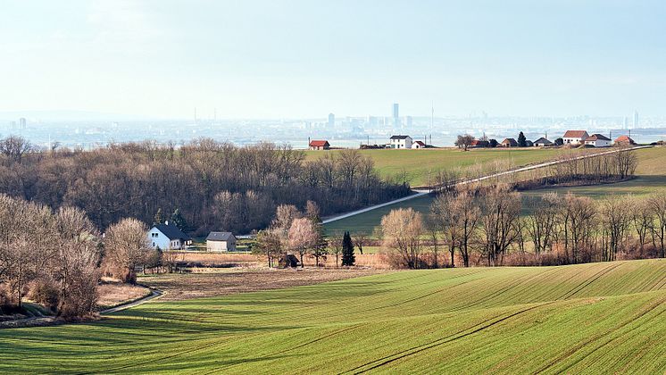 2025-05-15 Åkermark NY city-5140654_1920.jpg