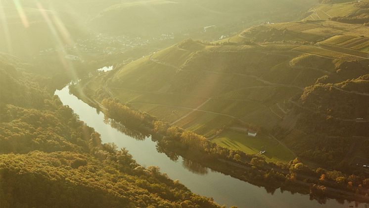 doennhoff-weingut-14.jpg