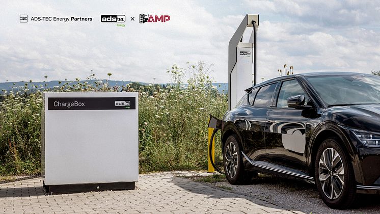 AMP.jpg