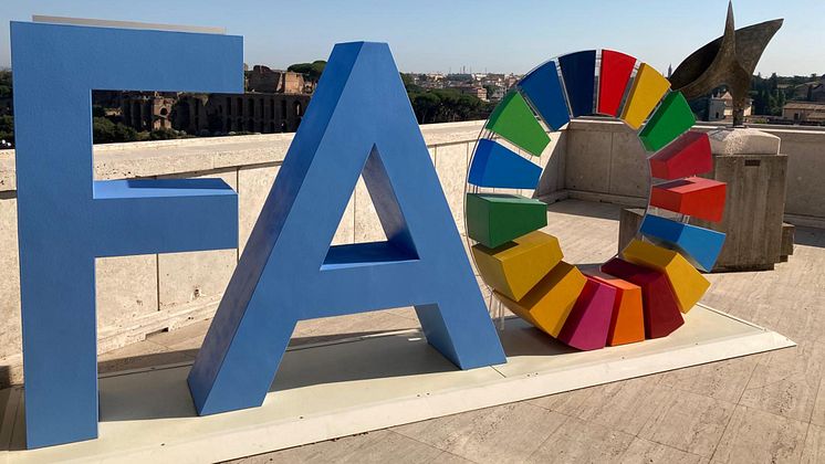 2025-06-09 FAO.jpg