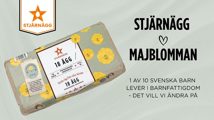 1 AV 10 SVENSKA BARN LEVER I BARNFATTIGDOM DET VILL VI ÄNDRA PÅ.jpg