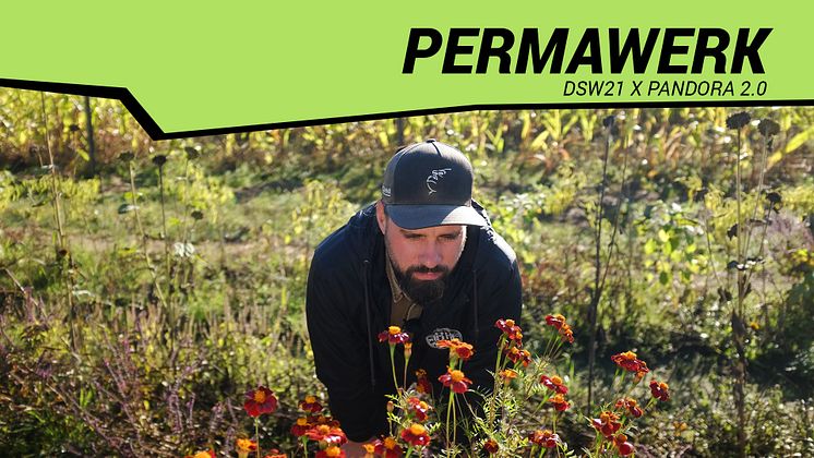 E07_Permawerk_horizontal.jpg