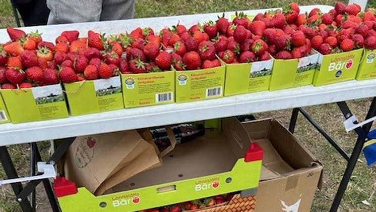 Jordgubbsförsäljning