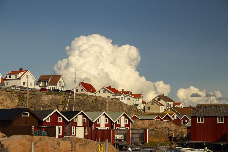 sweden-3778317_1920.jpg